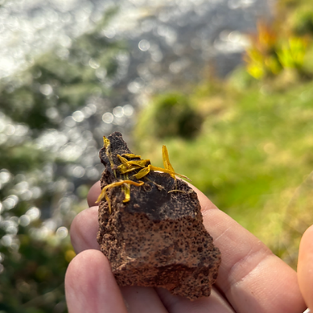 The EIRÚ blend 100% Cacao Paste infused with sacred Irish herbs and more..